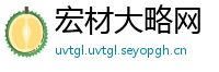 宏材大略网